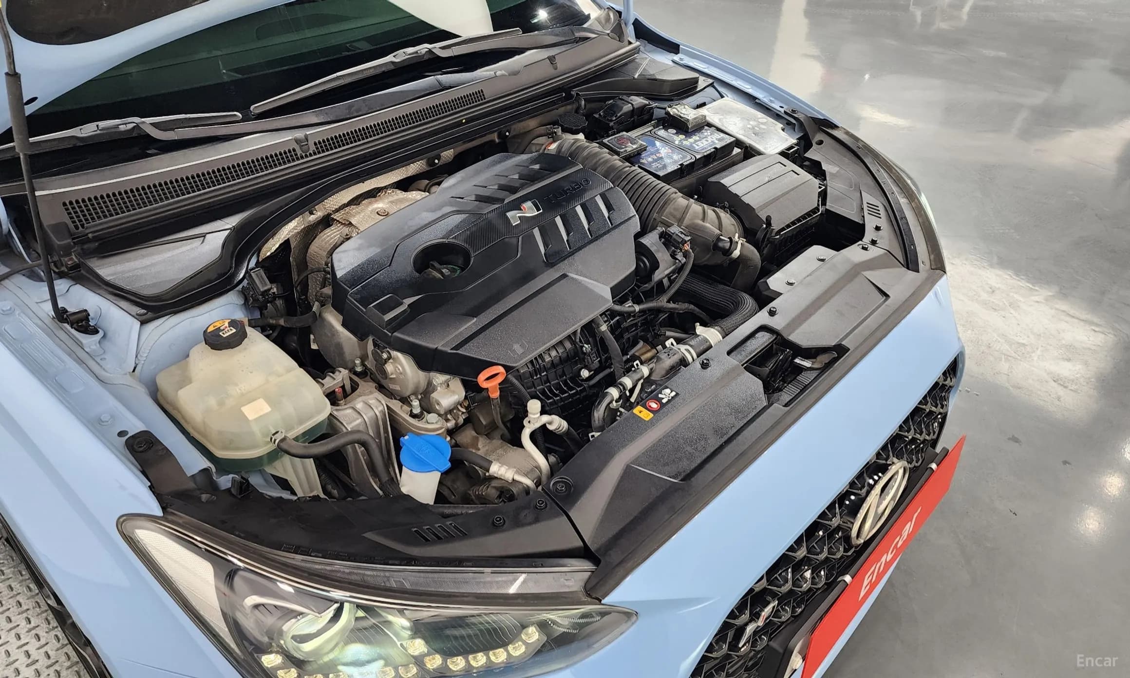 Veloster (JS)