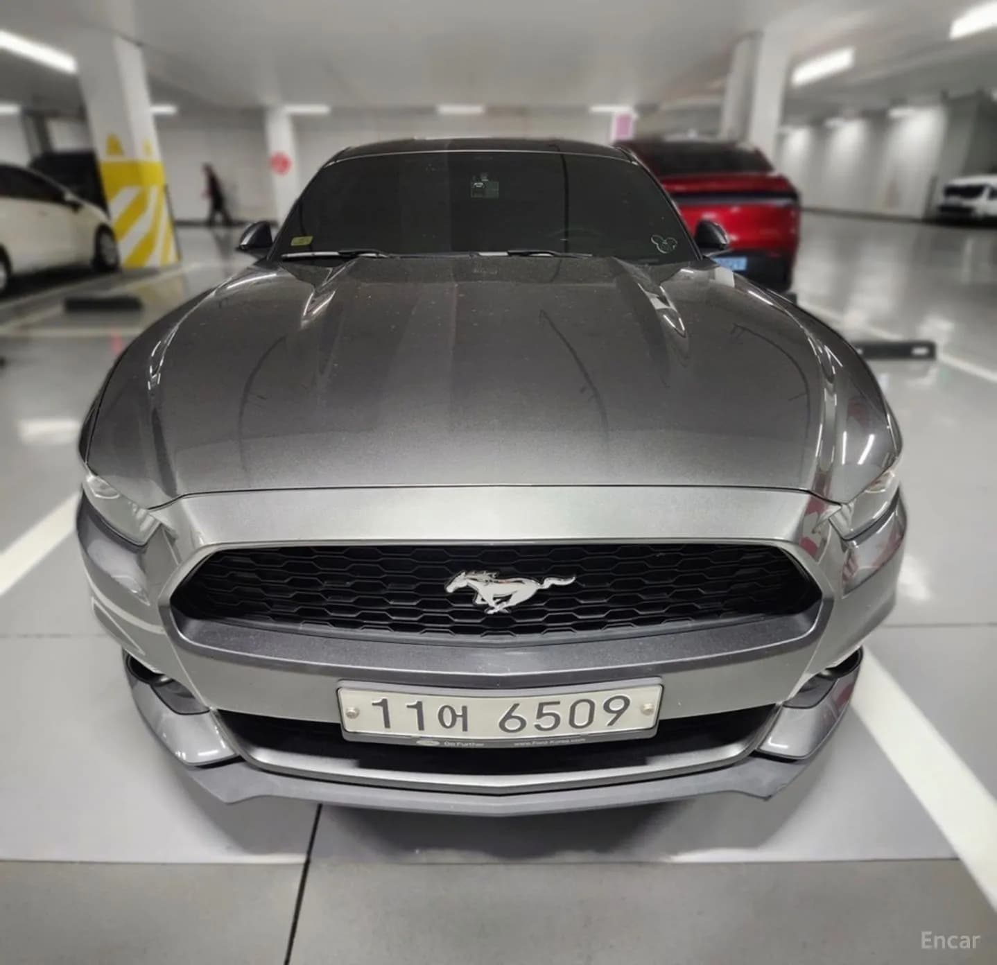 Mustang