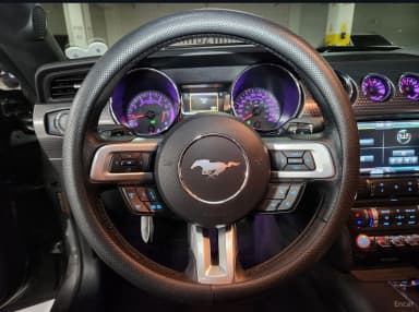 Mustang