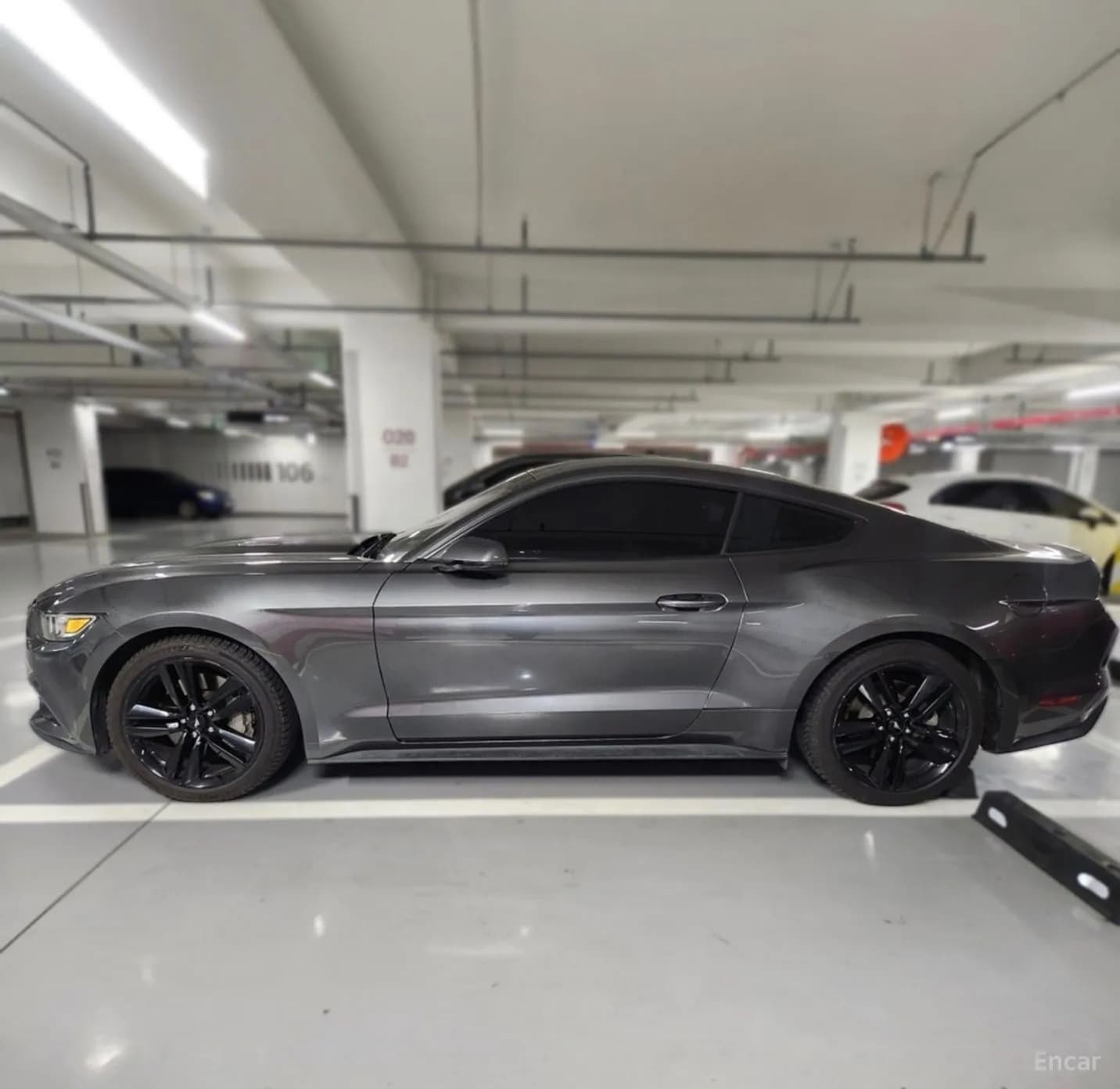 Mustang