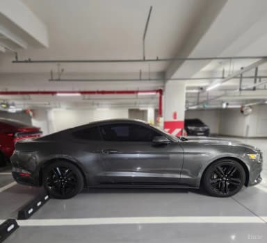 Mustang