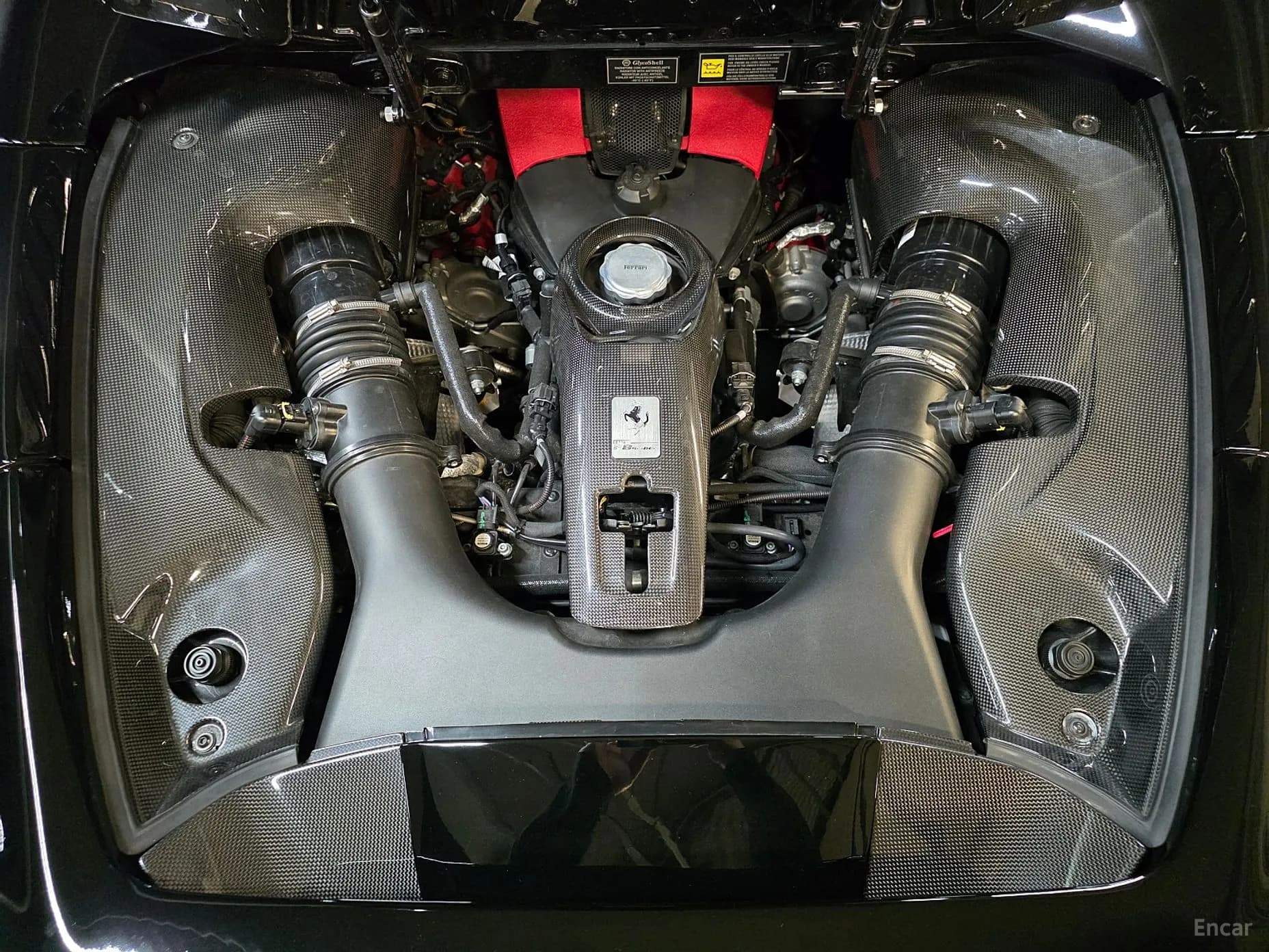 F8 Spider