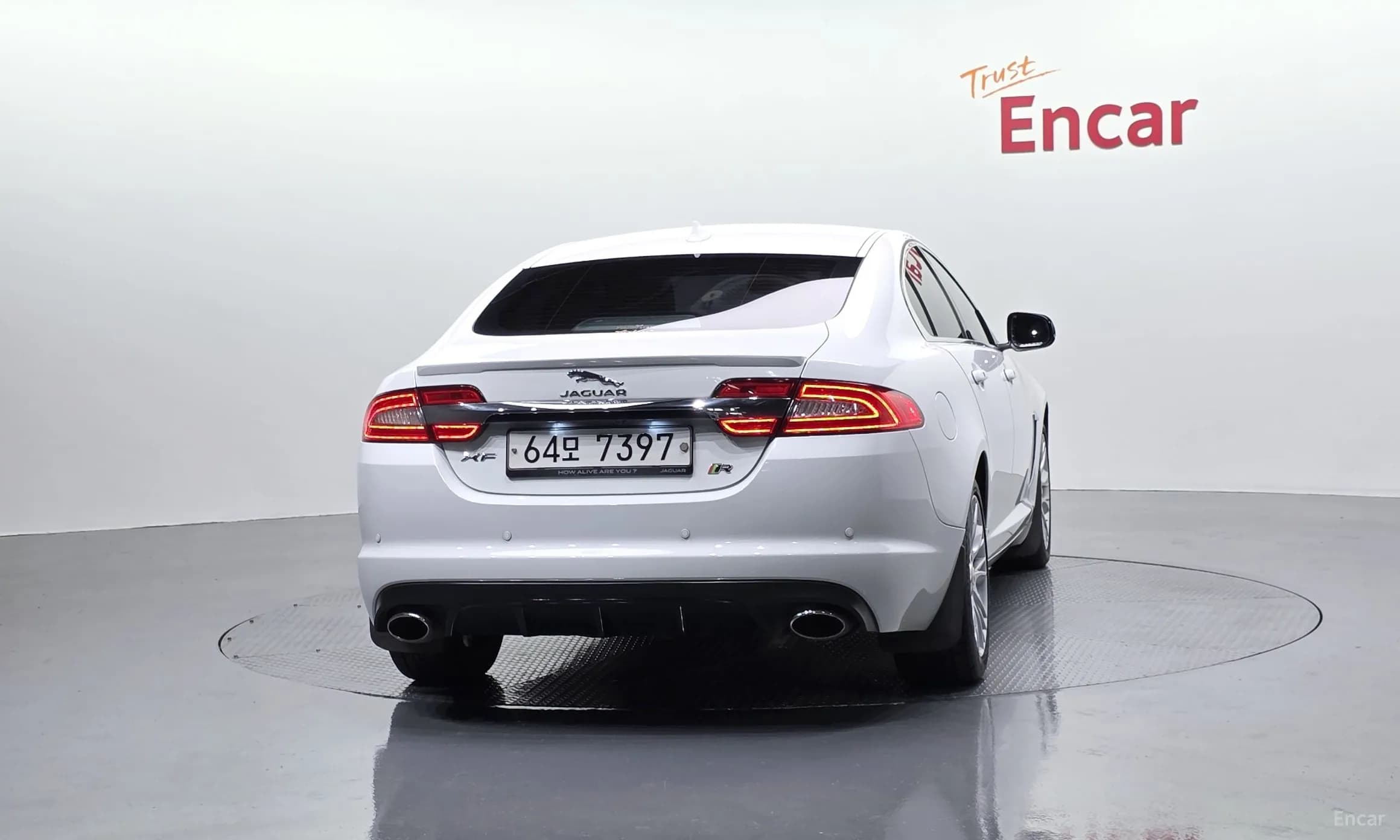 New XF