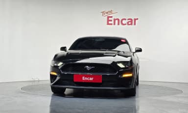 Mustang