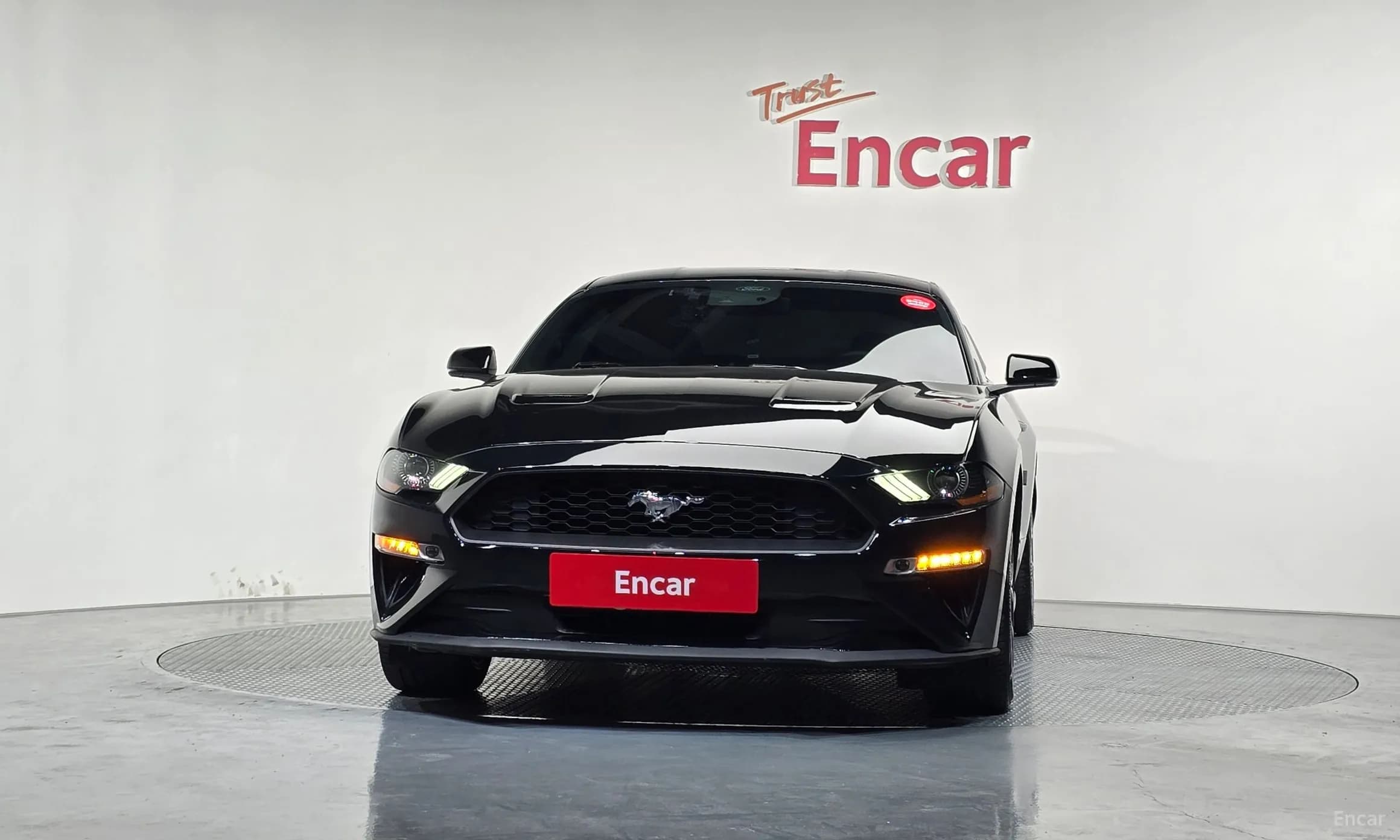 Mustang