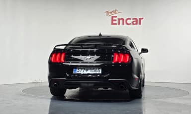 Mustang