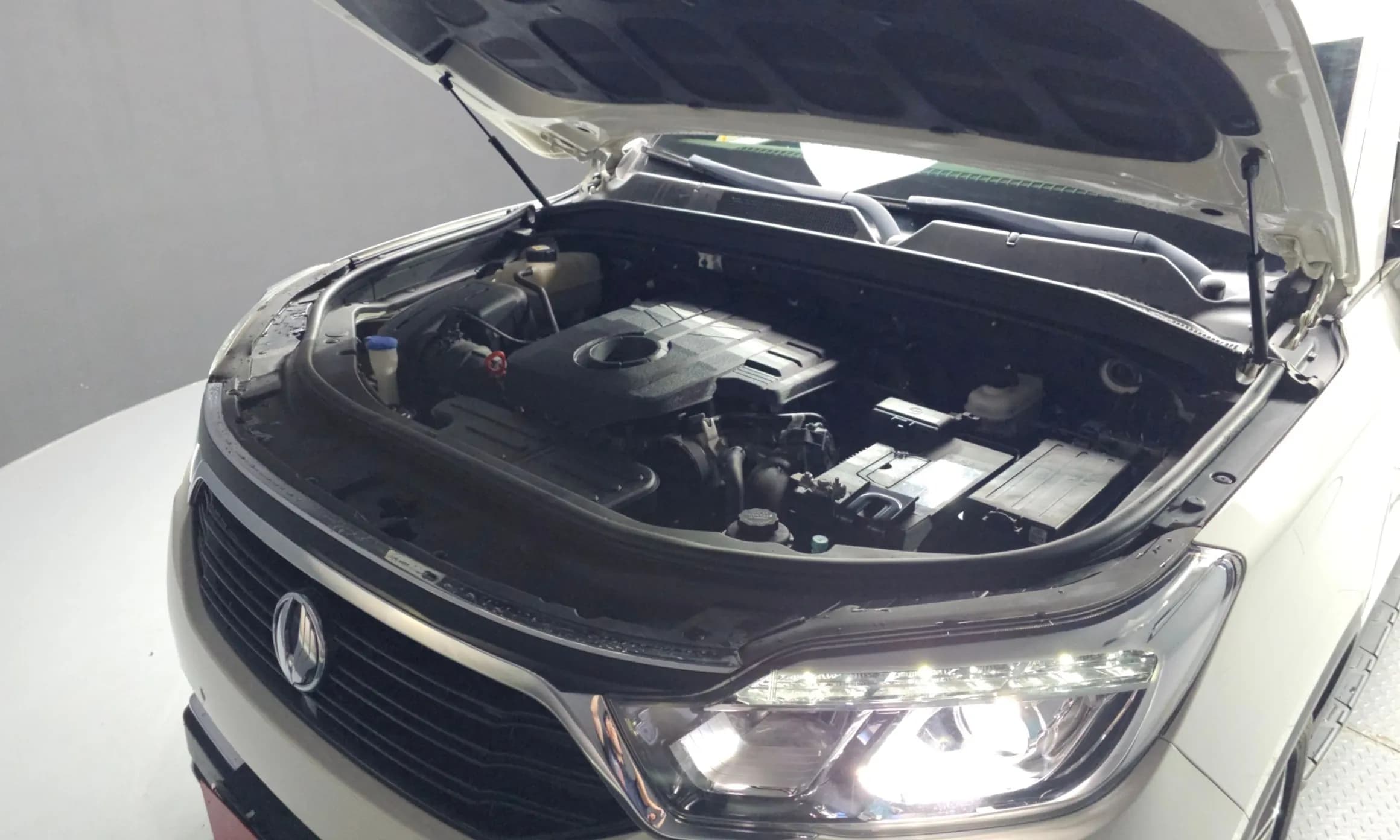 G4 Rexton