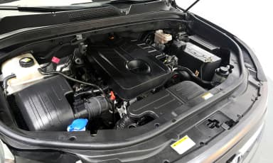 Rexton Sports
