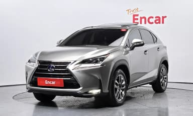 NX300h