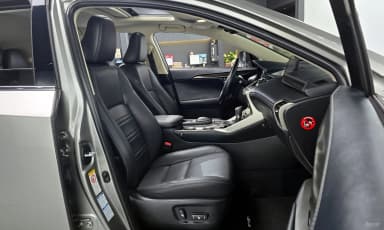 NX300h