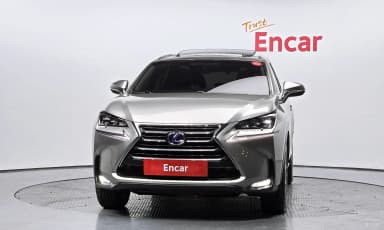 NX300h