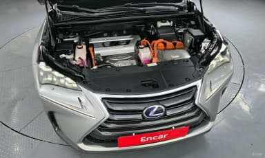 NX300h