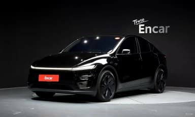 Model Y