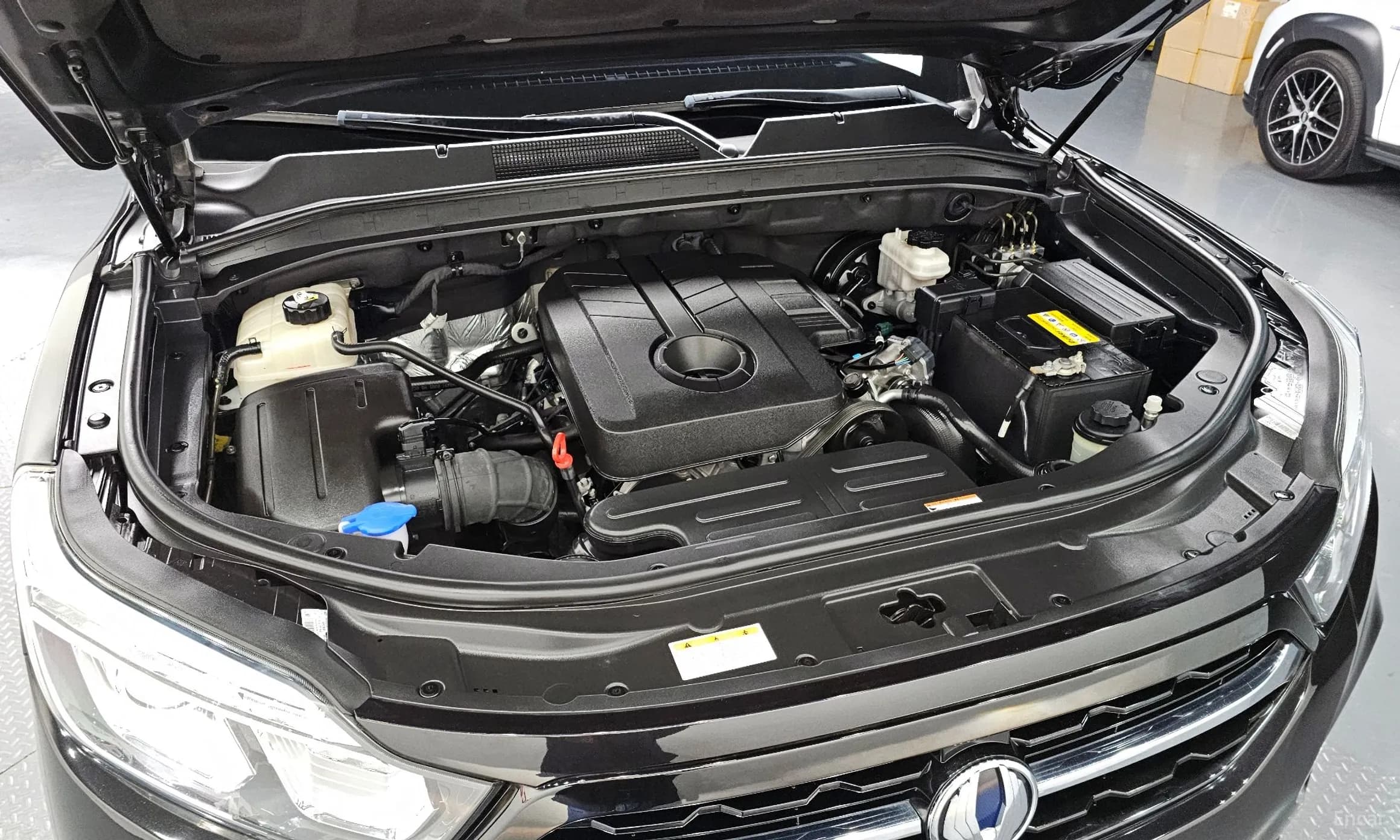 Rexton Sports