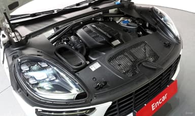 Macan