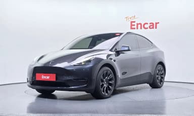 Model Y