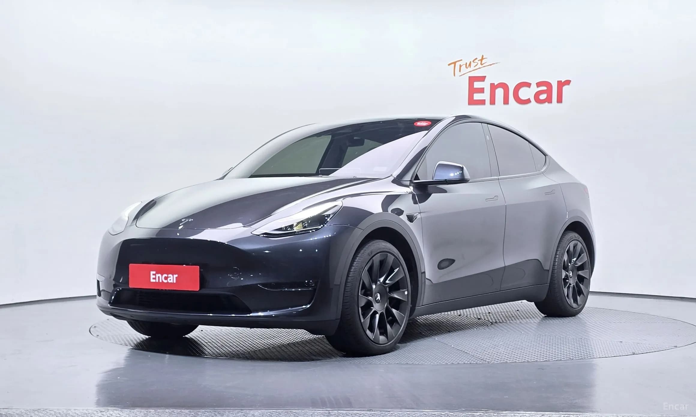 Model Y
