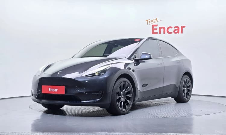 Model Y