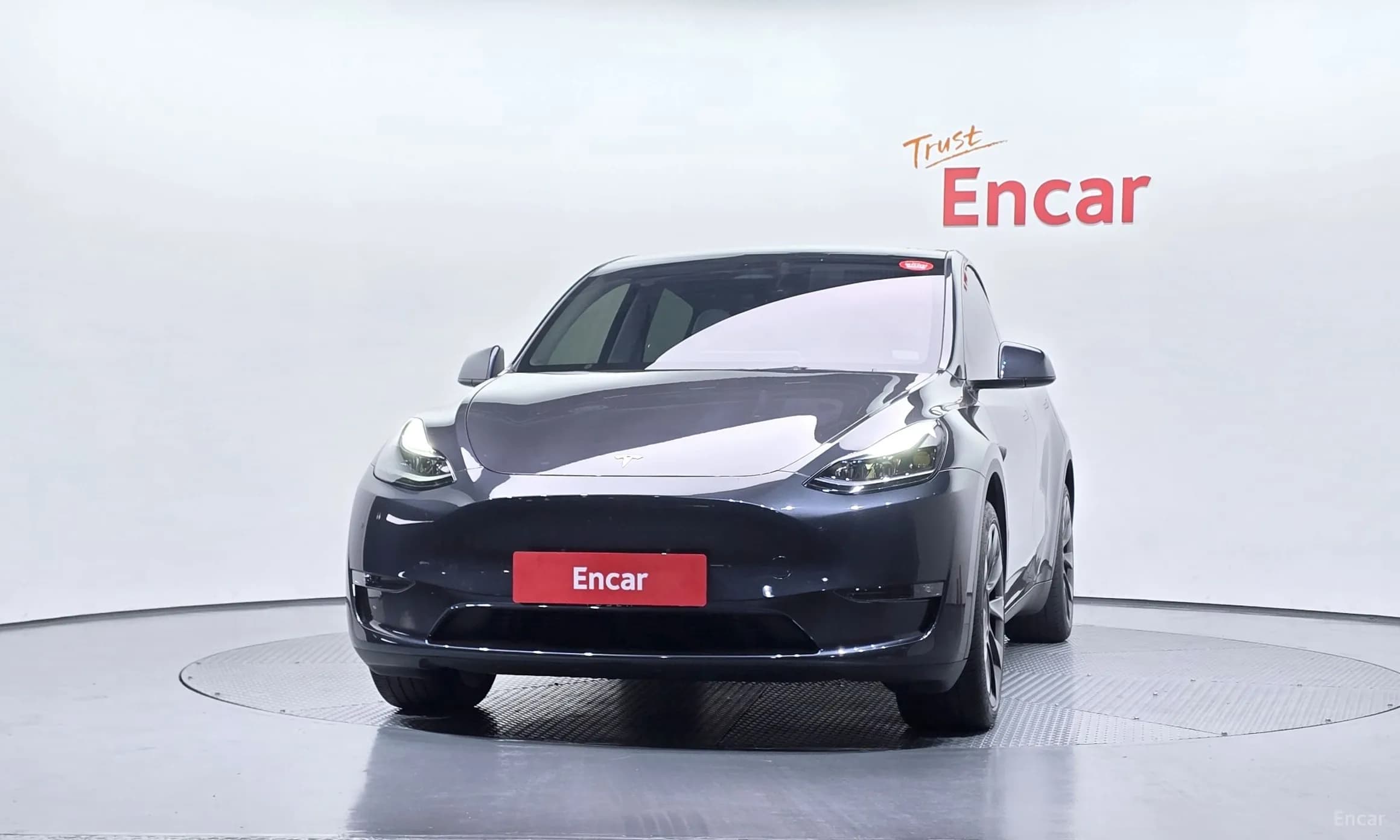 Model Y
