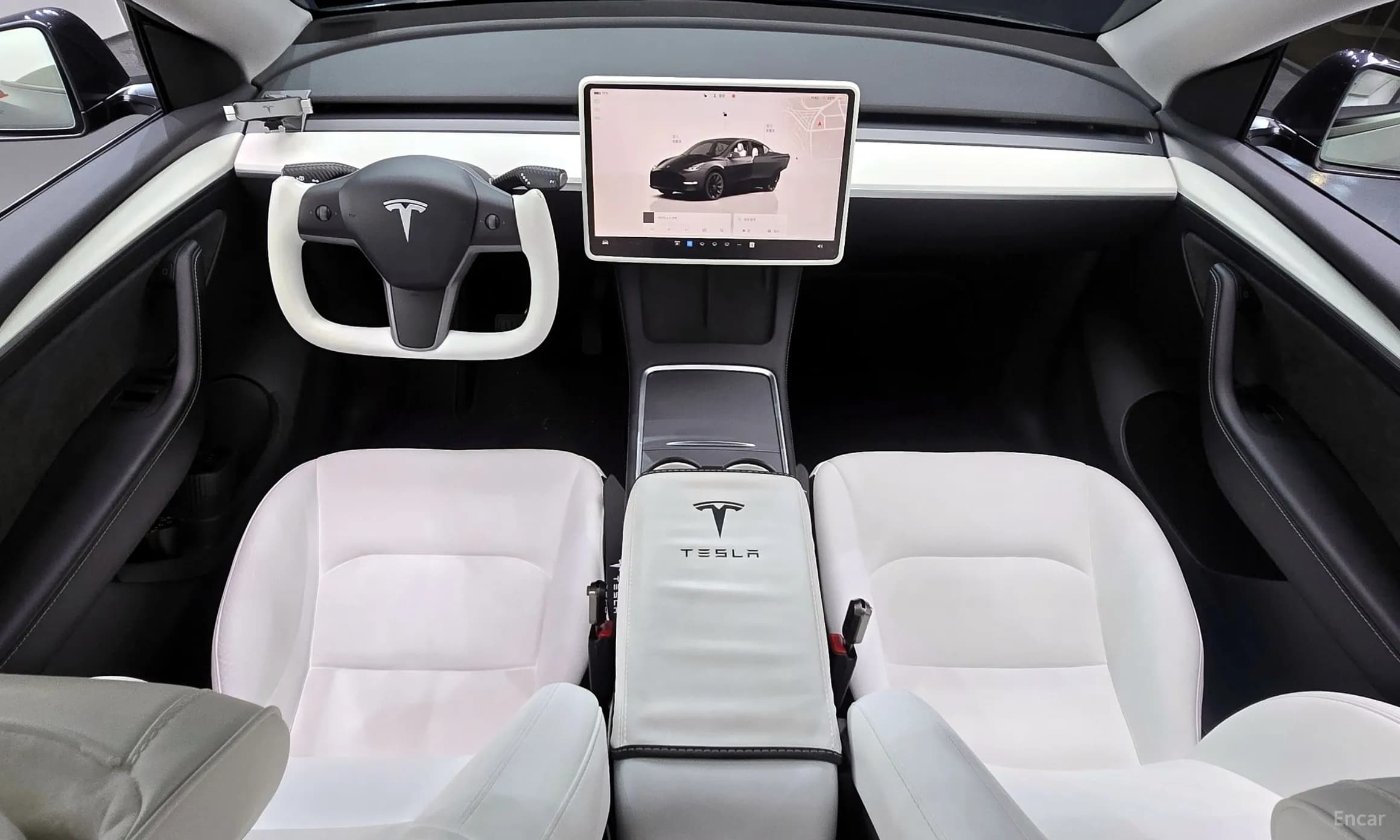 Model Y