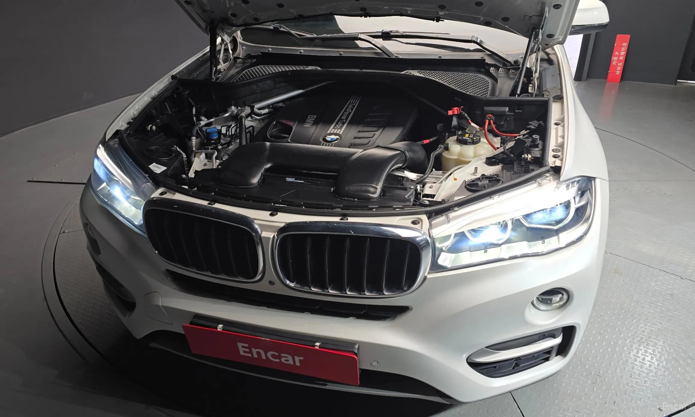X6 (F16)