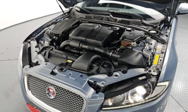 New XF