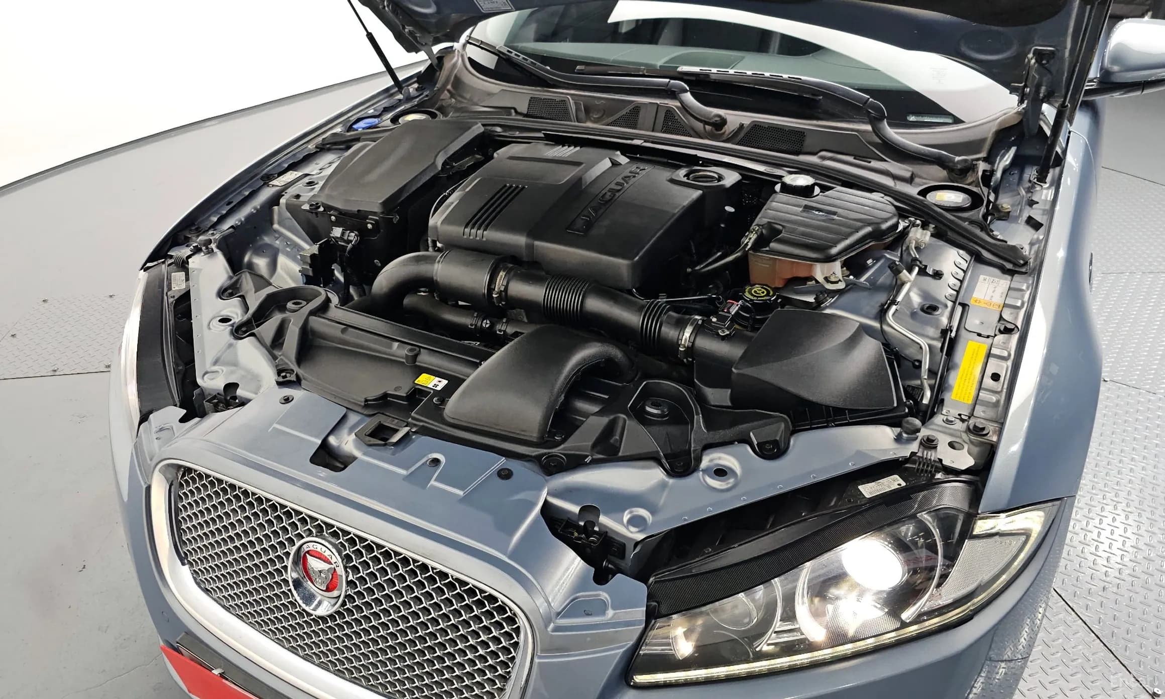 New XF