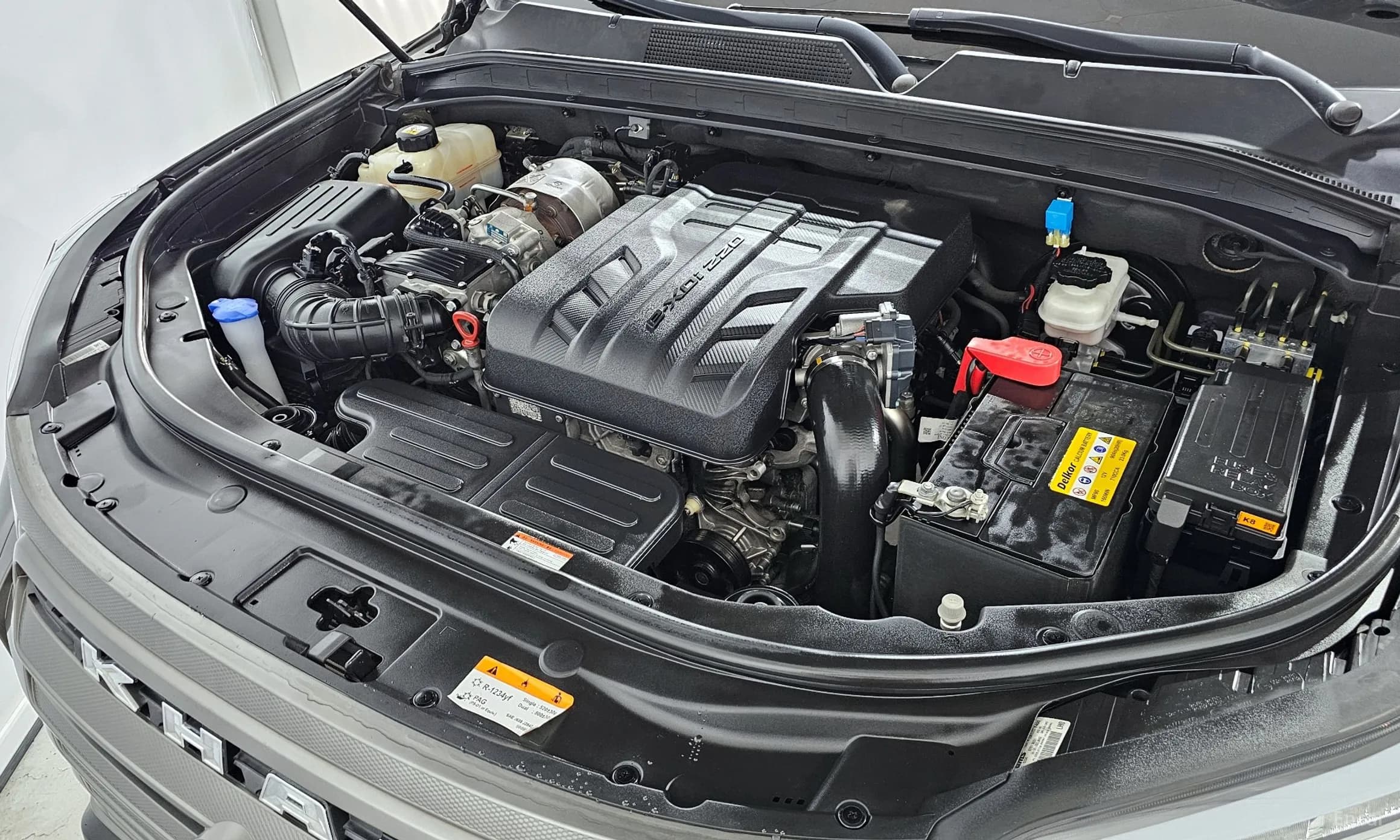 Rexton Sports Khan