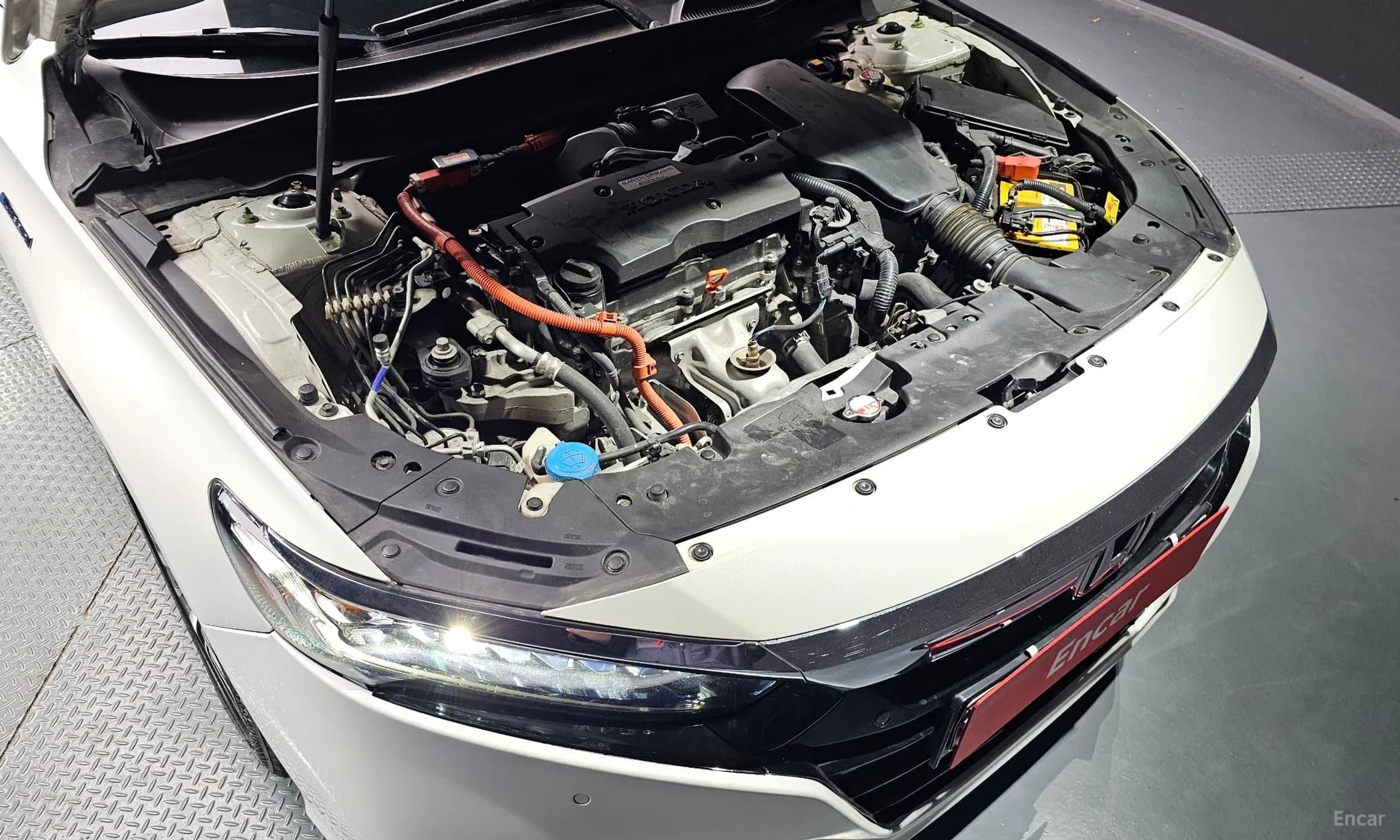 Accord 10th Generation