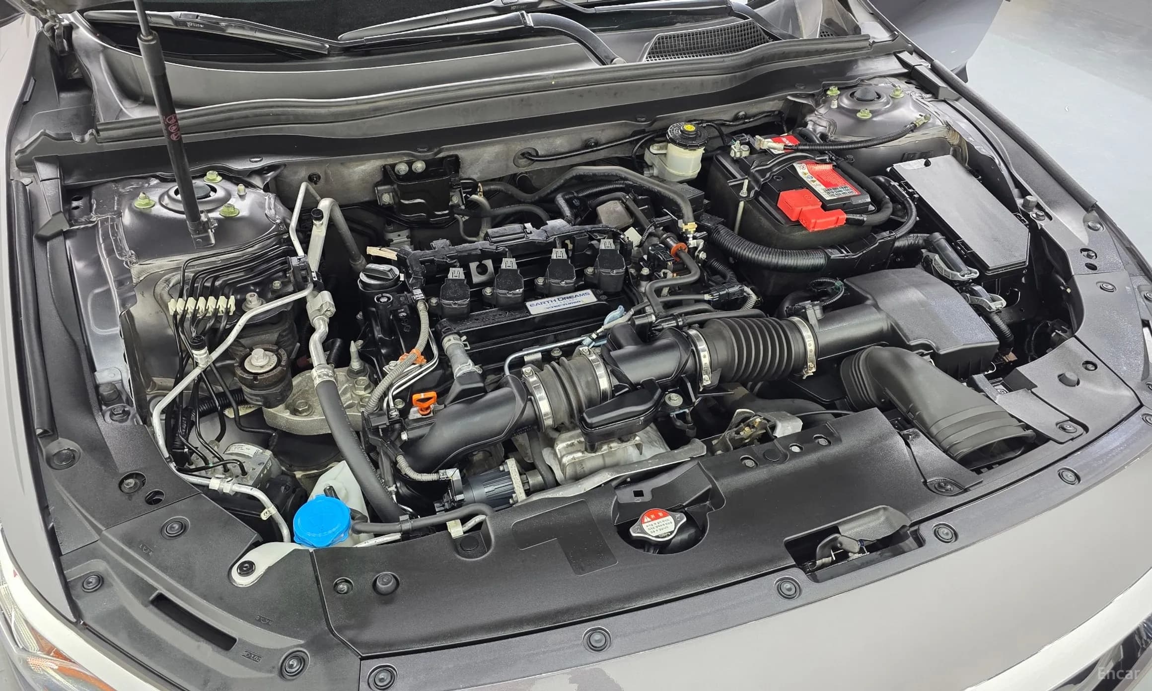Accord 10th Generation