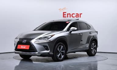 NX300h