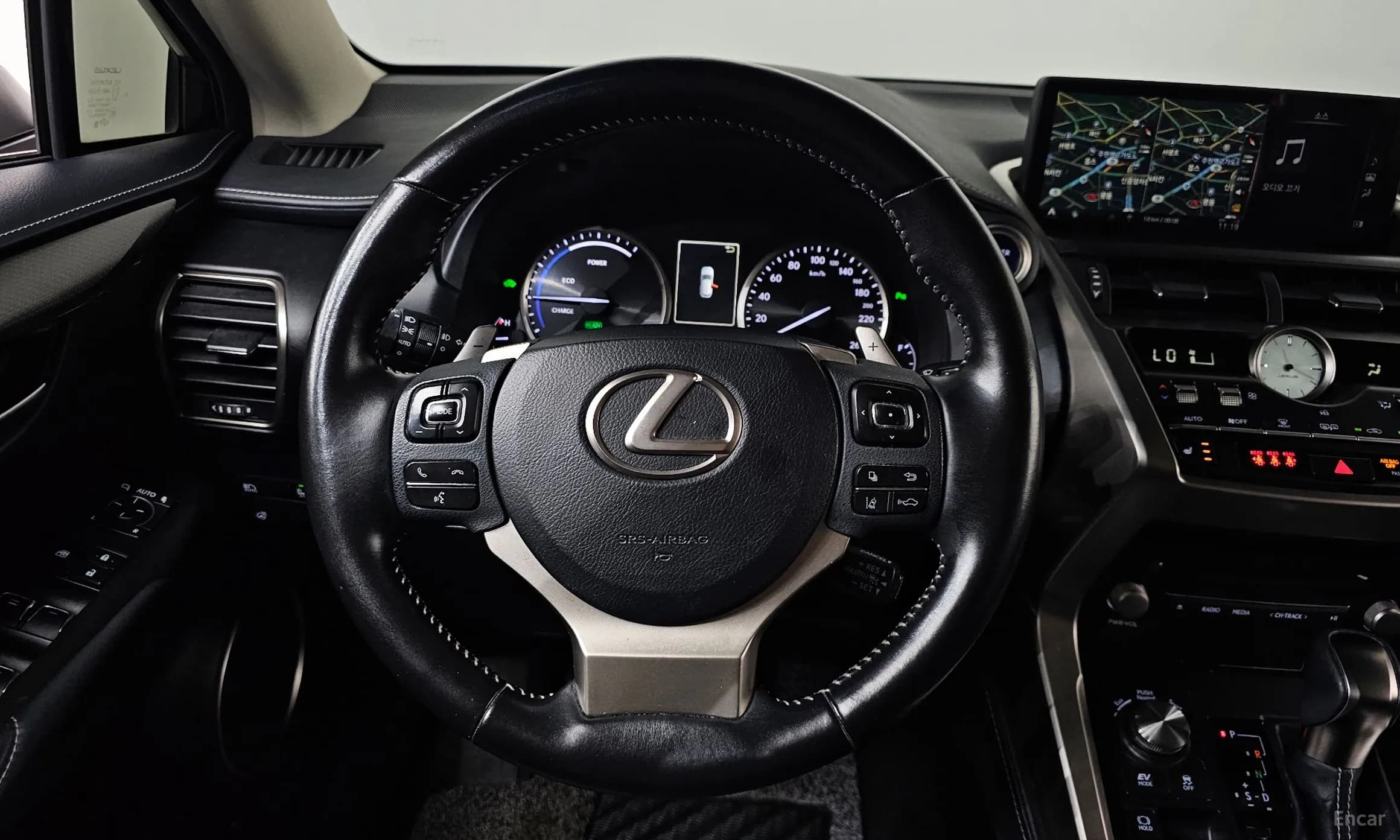 NX300h