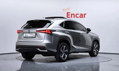 NX300h