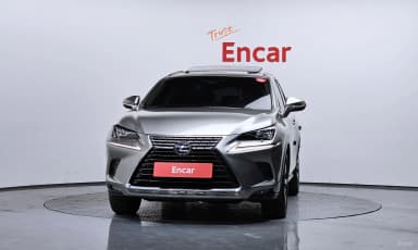 NX300h