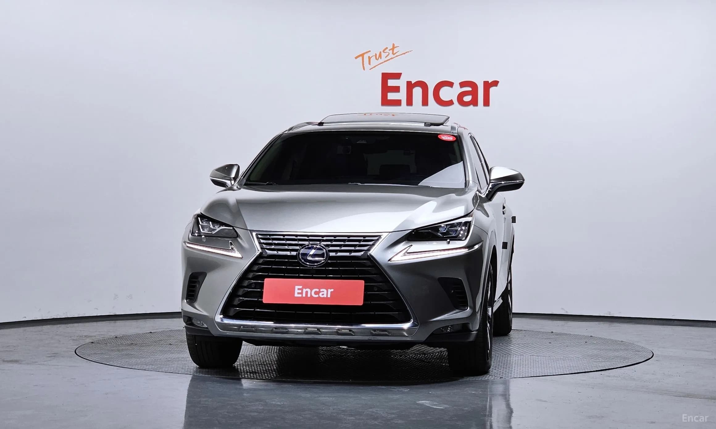 NX300h