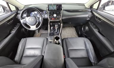 NX300h