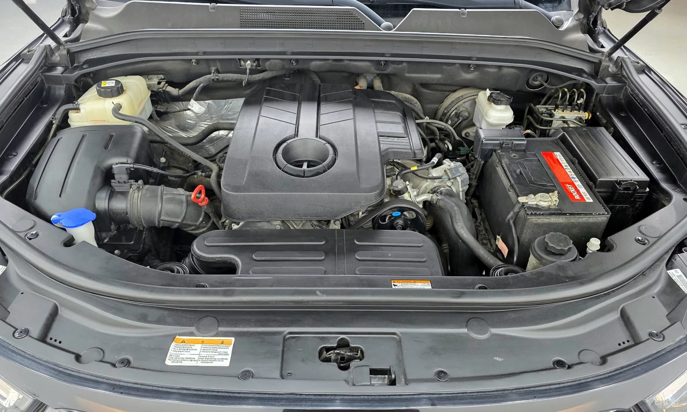Rexton Sports