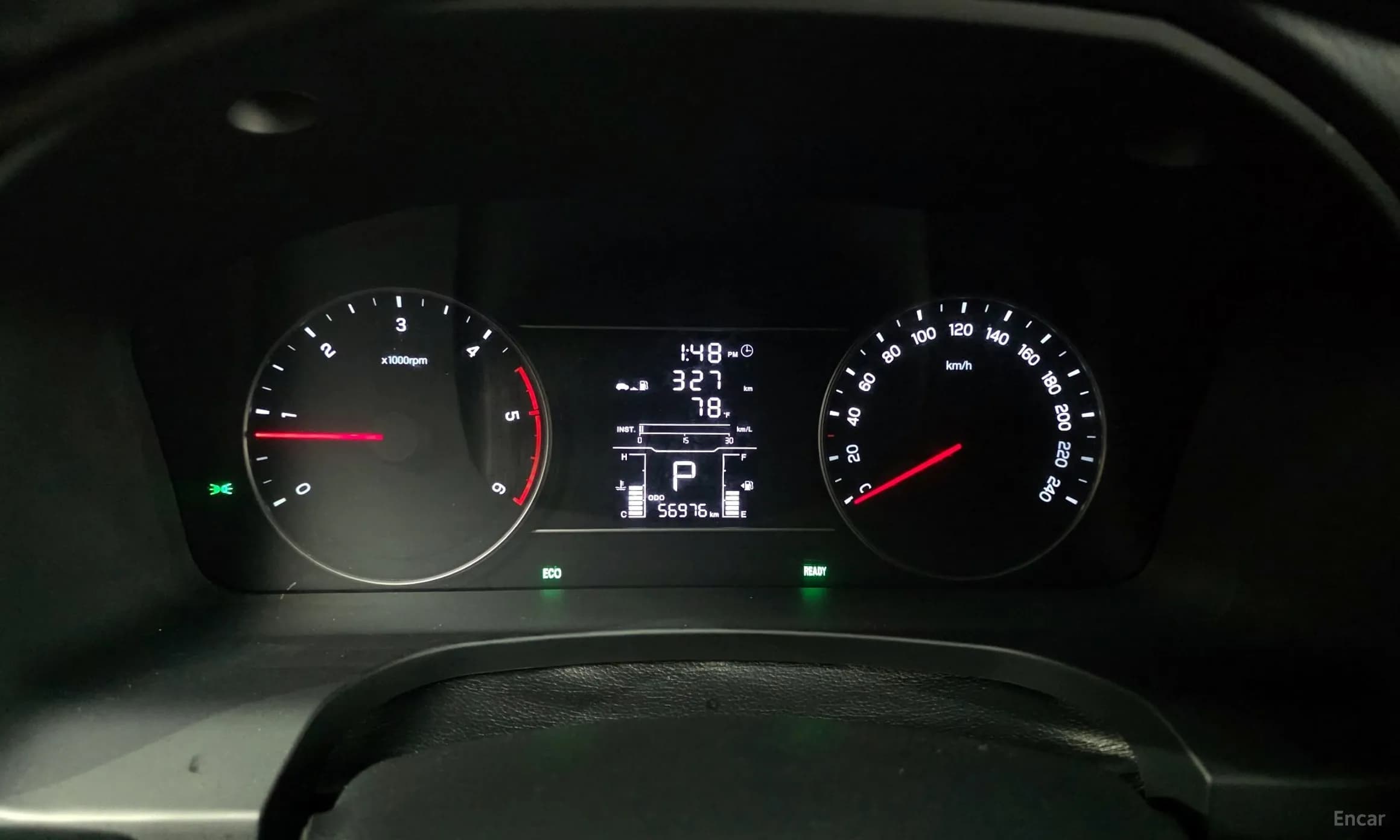 Rexton Sports
