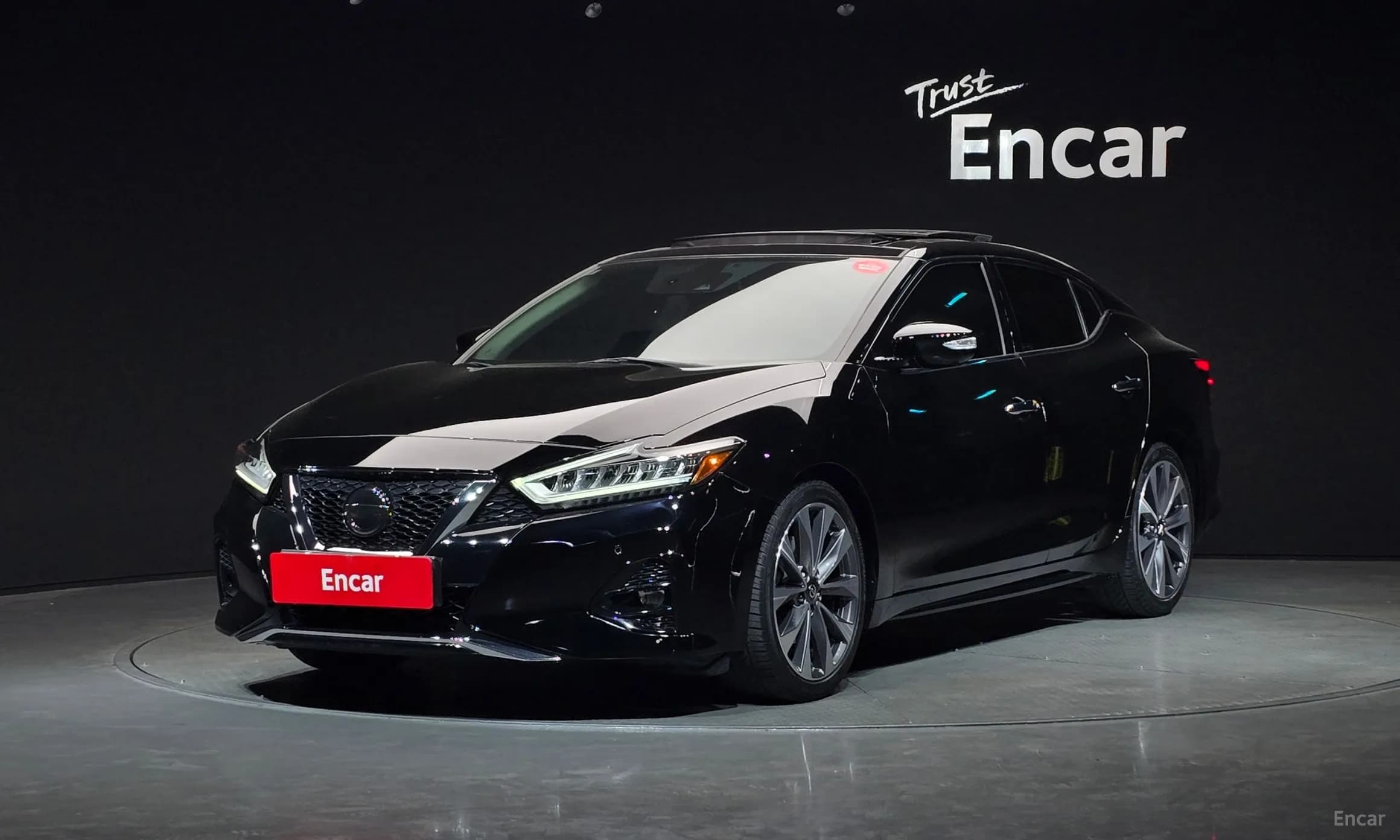 Maxima (A36)