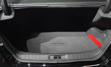 Maxima (A36)