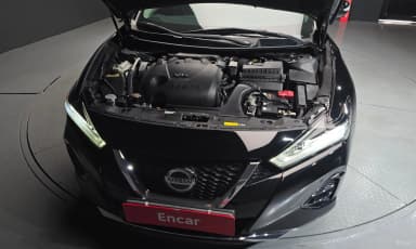 Maxima (A36)