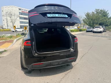 Model X