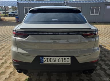 Cayenne (PO536)