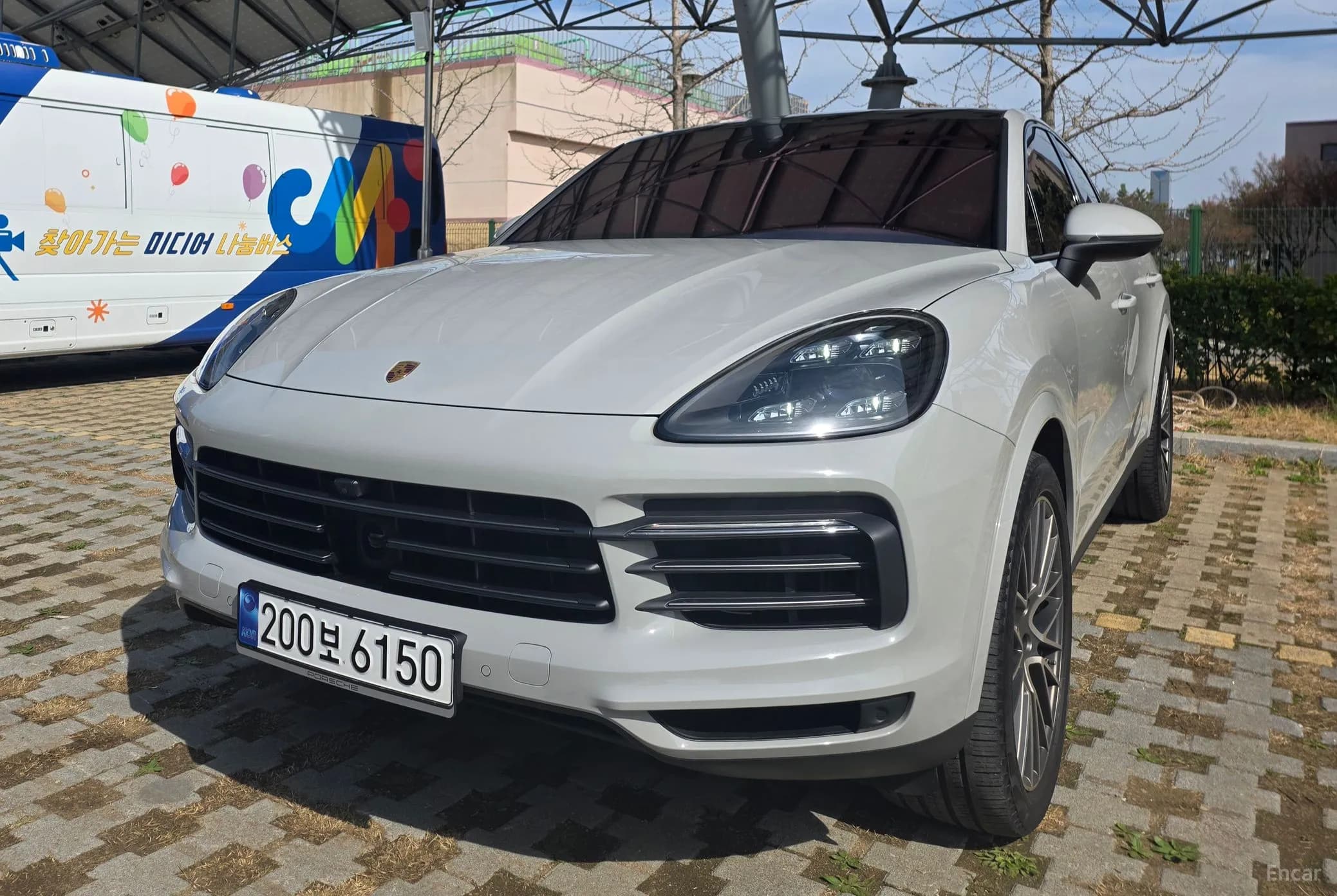 Cayenne (PO536)