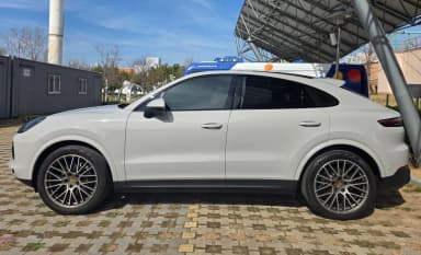 Cayenne (PO536)