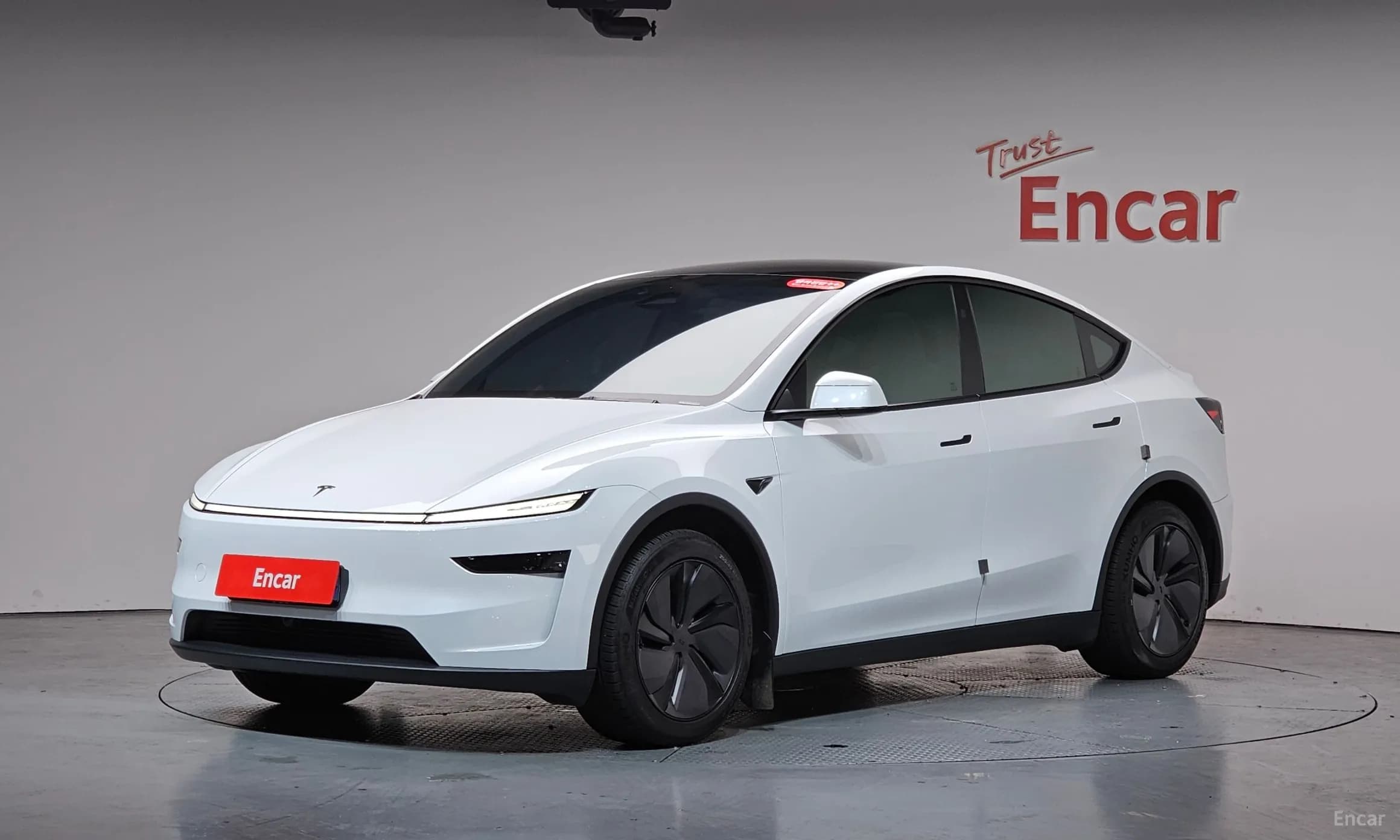 Model Y