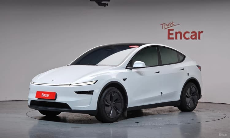 Model Y