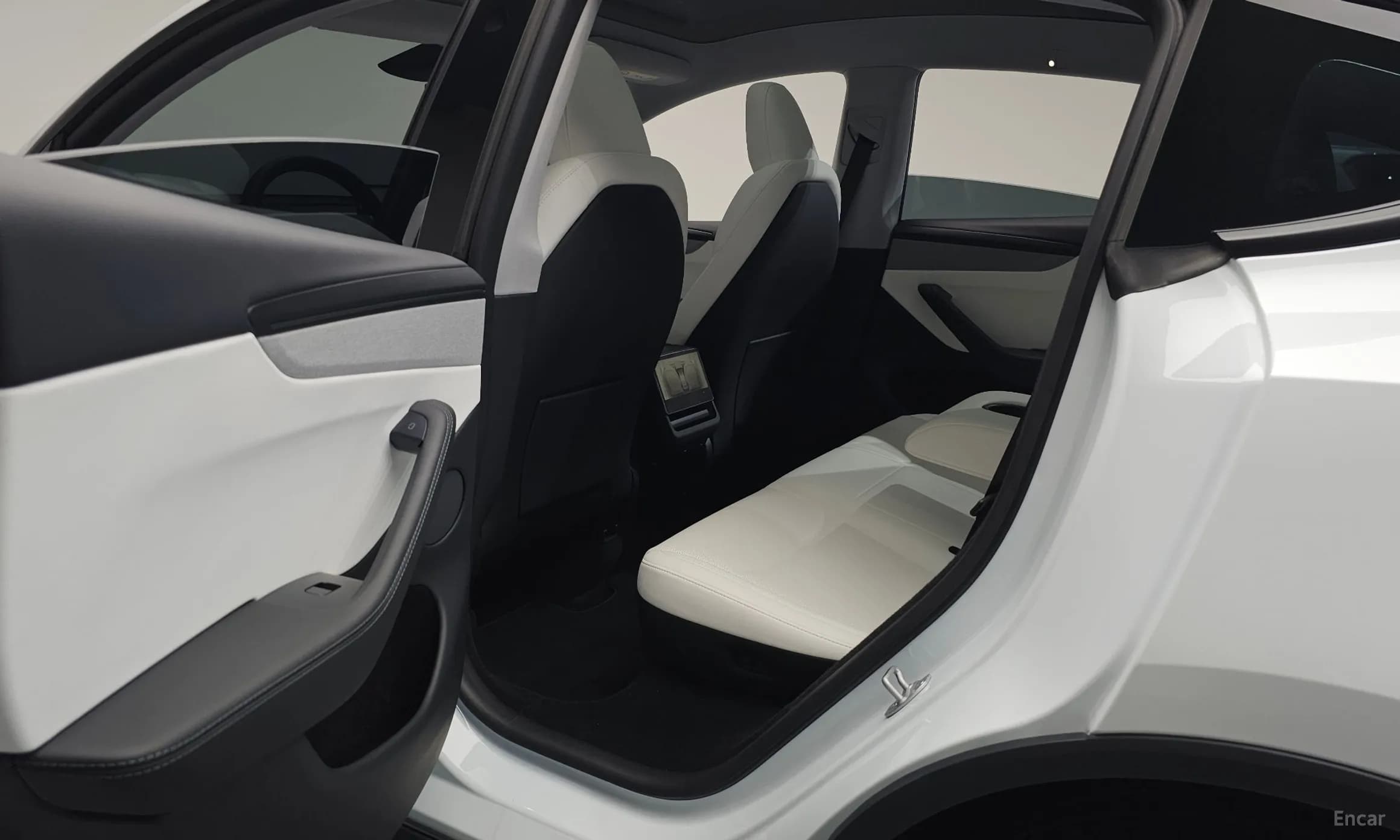 Model Y