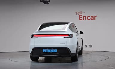 Model Y