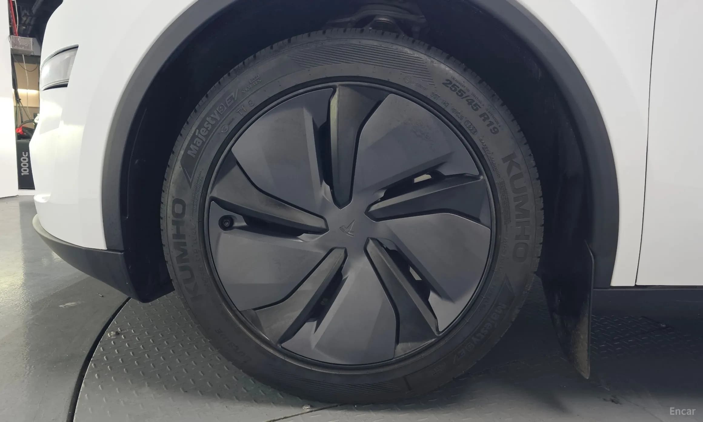 Model Y